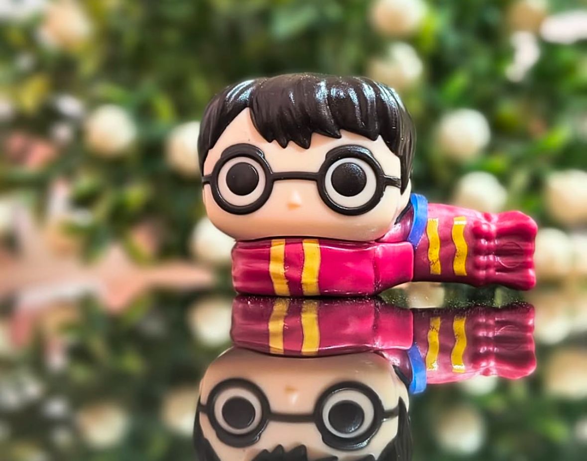 Special Edition : Harry Potter Kinder Joy Bouquet
